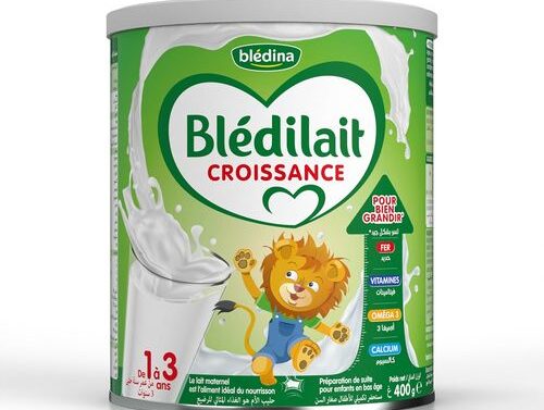 Blédilait - Croissance 400G